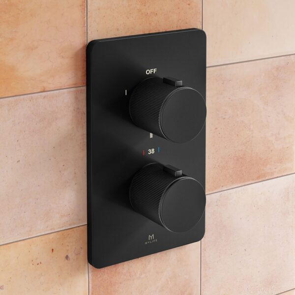 2 Outlet Wall Plate - Image 4