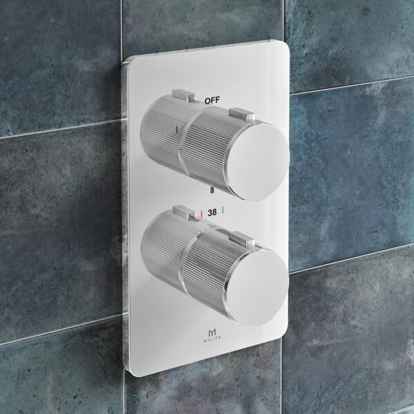 2 Outlet Wall Plate - Image 2